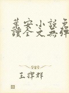 叶安小说免费阅读全文无弹窗