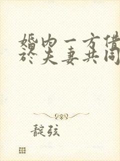 婚内一方借贷属于夫妻共同债务吗
