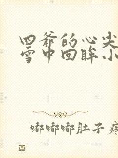 四爷的心尖宠妃雪中回眸小说最新章
