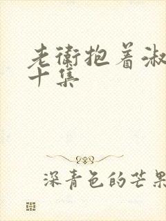老卫抱着淑蓉第十集