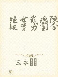 绝世武魂陈枫等级实力划分