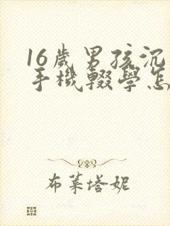 16岁男孩沉迷手机辍学怎么办