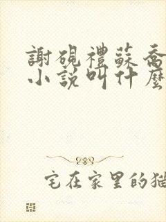 谢砚礼苏乔眠的小说叫什么名字