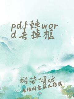 pdf转word去掉框