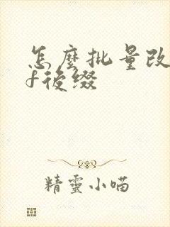 怎么批量改pdf后缀