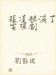 张凌赫演了哪些电视剧
