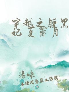 穿越之腹黑世子妃 夏霁月