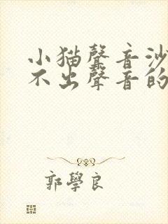 小猫声音沙哑叫不出声音的原因