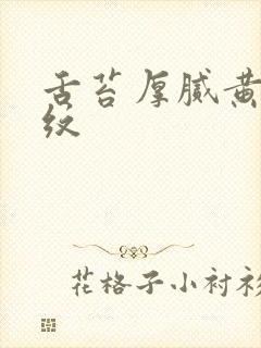 舌苔厚腻黄有裂纹
