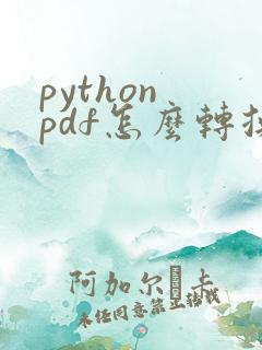 python pdf怎么转换成word