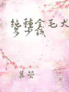 纯种金毛犬价格多少钱