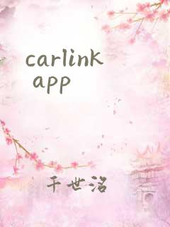carlink app