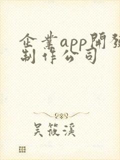 企业app开发制作公司