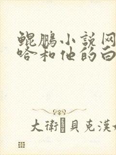 鲲鹏小说网站二哈和他的白猫师尊
