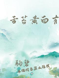 舌苔黄白有齿痕