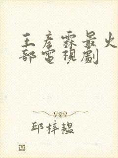 王彦霖最火的5部电视剧