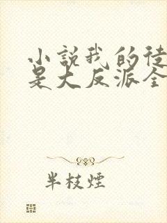 小说我的徒弟都是大反派全文在线阅读