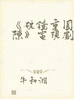 《破镜重圆终有隙》电视剧完整版