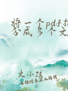 将一个pdf拆分成多个文件