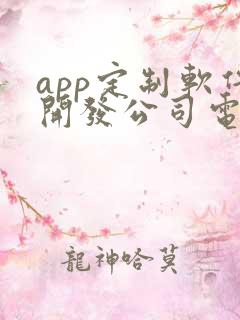 app定制软件开发公司电话