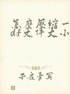 怎么压缩一个pdf文件大小