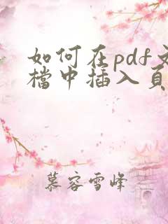 如何在pdf文档中插入页码