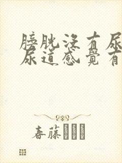 膀胱没有尿意但尿道感觉有尿
