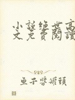小说绝世高手原文免费阅读