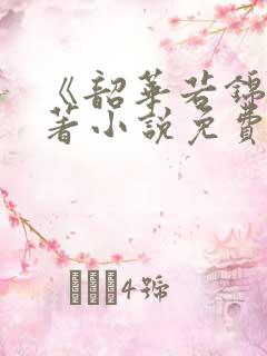 《韶华若锦》原著小说免费阅读