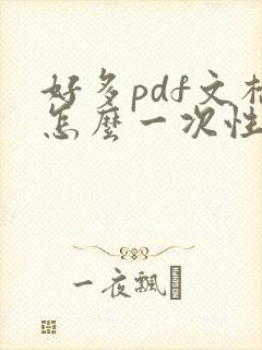 好多pdf文档怎么一次性打印
