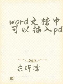 word文档中可以插入pdf吗