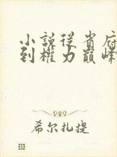 小说从省府大秘到权力巅峰