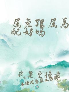 属兔跟属马的婚配好吗