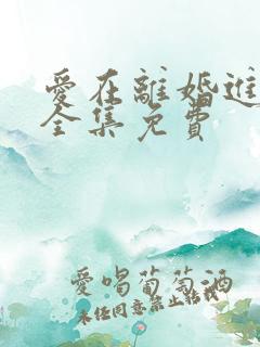 爱在离婚进行时全集免费