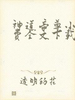 神道帝尊小说免费全文下载