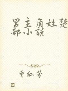 男主角姓楚的全部小说