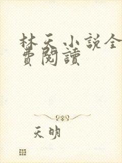 林天小说全文免费阅读