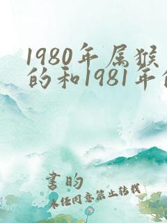 1980年属猴的和1981年的鸡合适吗