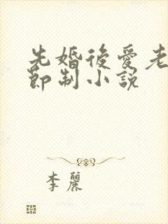 先婚后爱老公请节制小说