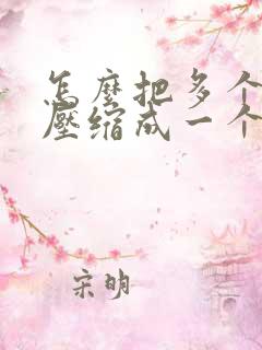 怎么把多个文件压缩成一个文件包