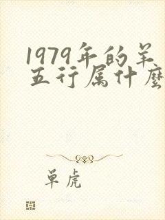 1979年的羊五行属什么命