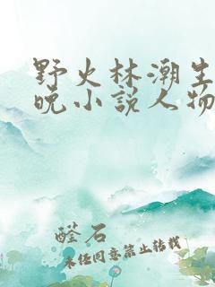野火林潮生林晚晚小说人物野火