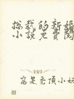 总裁的新婚罪妻小说免费阅读全文