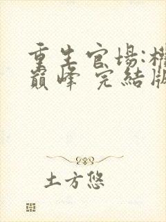 重生官场:权势巅峰 完结版