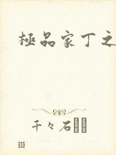 极品家丁之远方