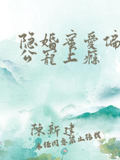 隐婚蜜爱偏执老公宠上瘾