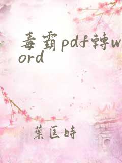 毒霸pdf转word
