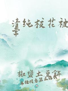 清纯校花被的日常