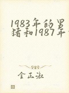 1983年的男猪和1987年的女兔相配吗