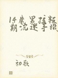14岁男孩叛逆期沉迷手机怎么管教